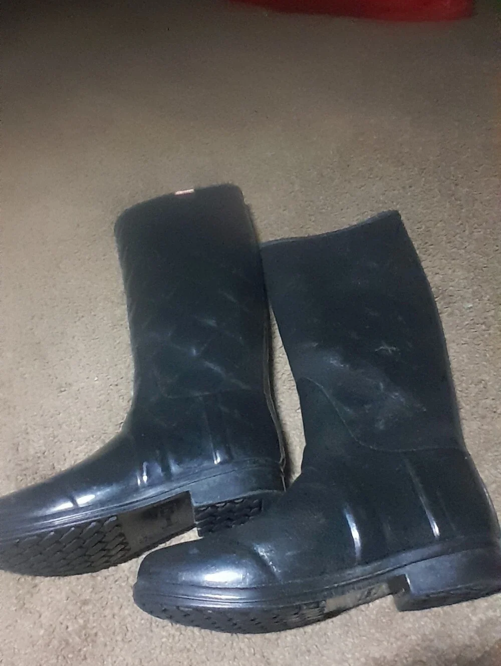 Hunter classic tall